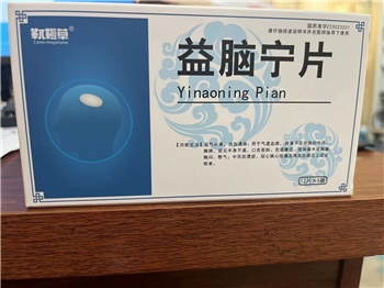 益脑宁片0.35g*12片*5板