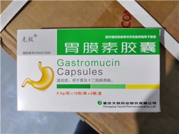 胃膜素胶囊0.4g*12s*2板/盒
