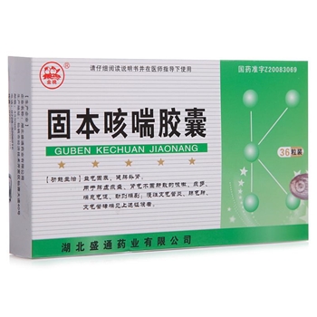 固本咳喘胶囊0.35g*12s*3板