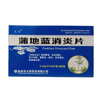 蒲地蓝消炎片0.24g*48片