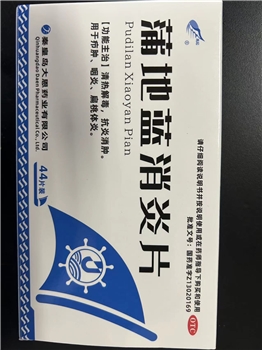 蒲地蓝消炎片0.24g*22片*2/板/盒